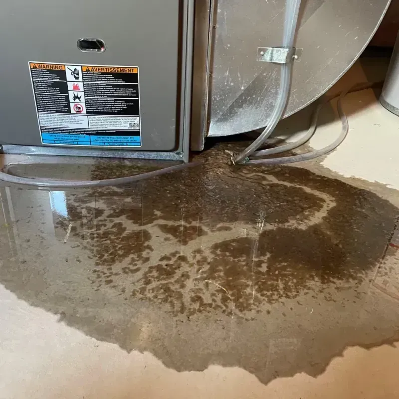 Appliance Leak Cleanup in Hamilton County, IN